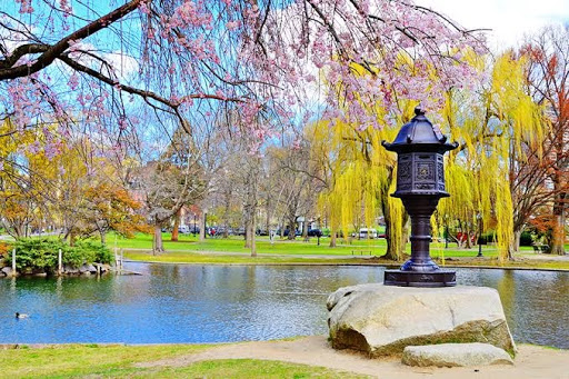 السياحة بـ مدينة بوسطن لمحبي التاريخ والأجواء الإيطالية