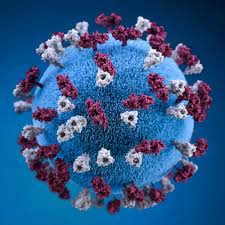 فيروس كورونا الجديد: 4000 وفاة يومياً للمرة الثانية ... ومليونا إصابة بـ فيروس كورونا الجديد في تكساس وكاليفورنيا