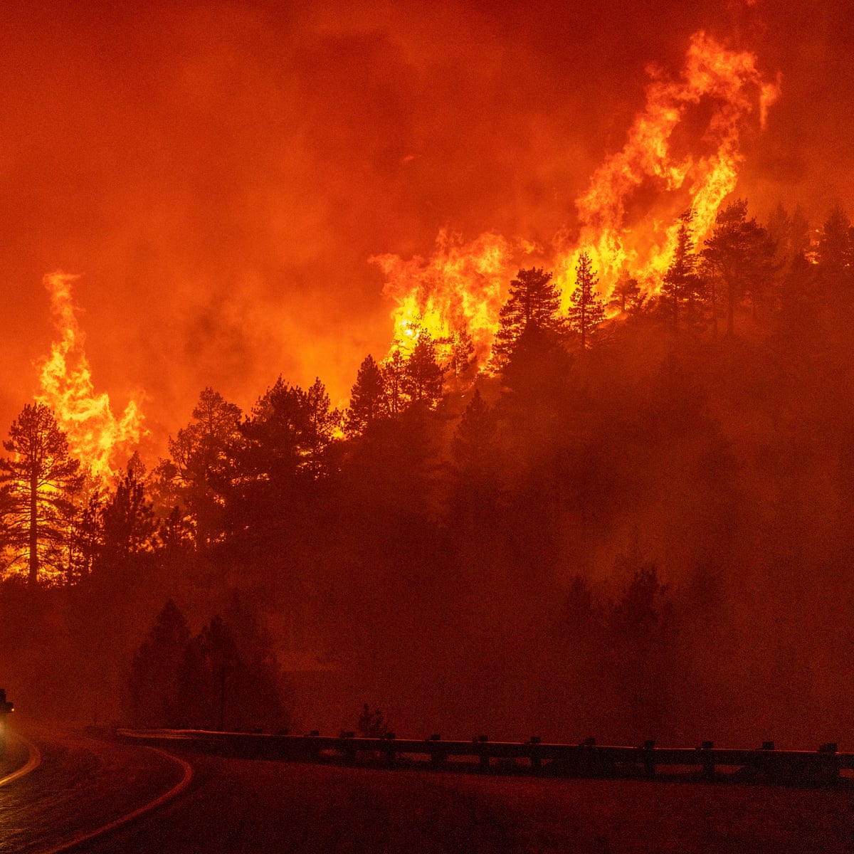 حريق غابات في ولاية كاليفورنيا نذير شؤم لعام 2021