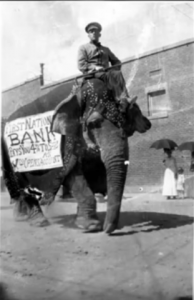 قاتل ماري الفيل