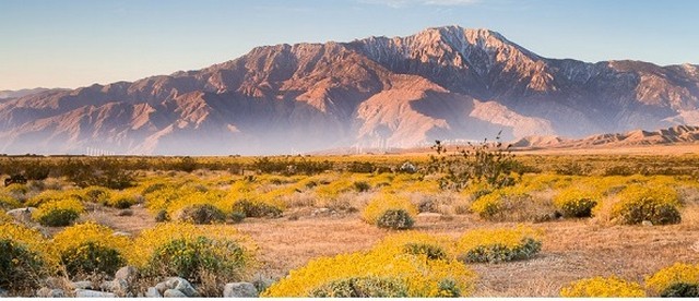  السياحة في بالم سبرينغز