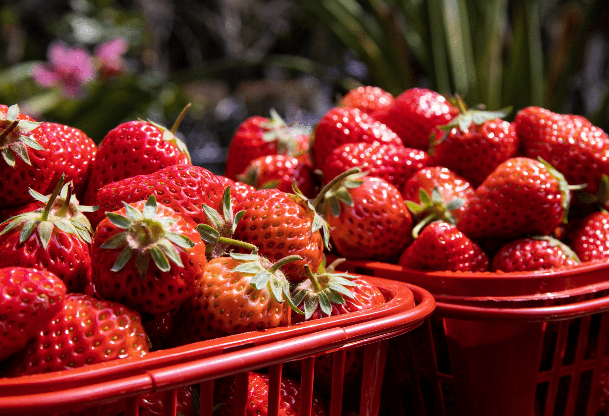 الفاكهة الطازجة الاكثر مبيعا في أمريكا وفق ارقام 2020
