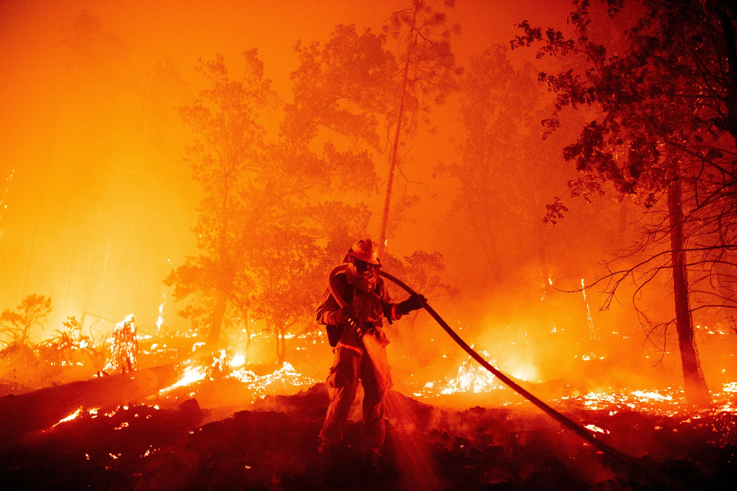 حرائق الغابات الغربية: احتراق أكثر من 300 ألف فدان عبر 6 ولايات