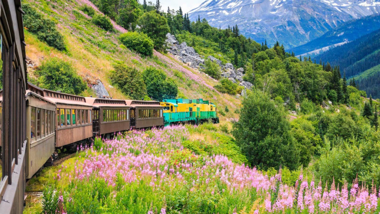 رحلات القطار في امريكا: تمتع برؤية الطبيعة خلال السفر