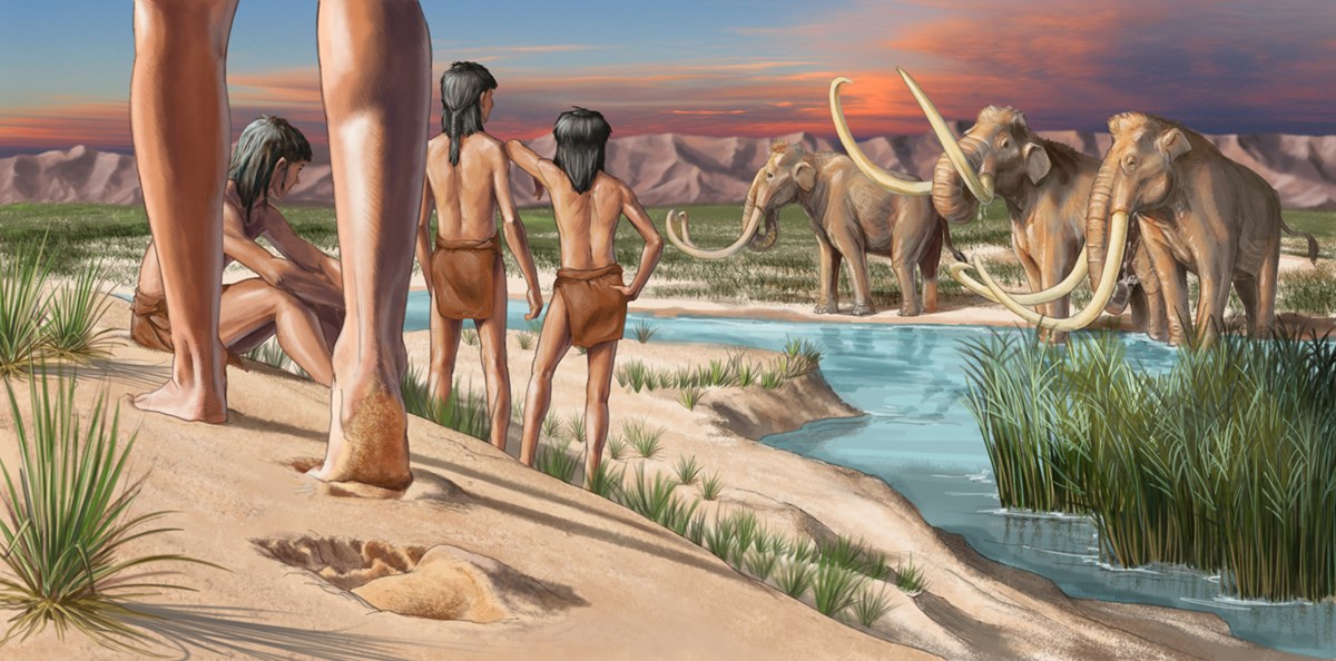 البشر عاشوا في أمريكا الشمالية قبل 23000 عام - بحث جديد