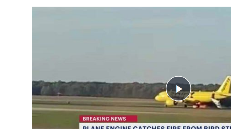 مطار نيوجيرسي يشهد حريق بسبب طائر - فيديو