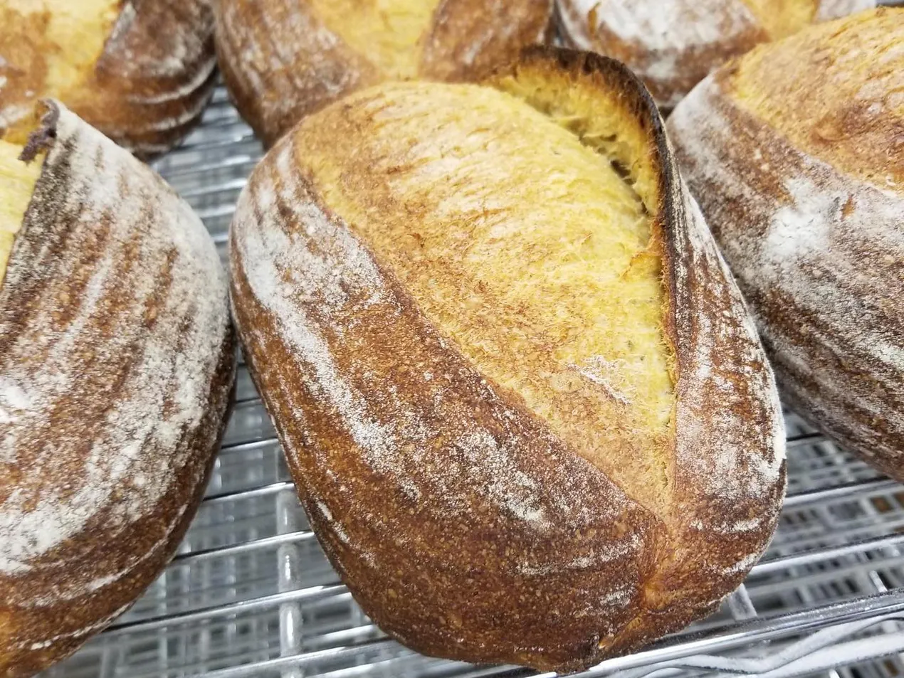 كيف تشتري الخبز الممتاز في بوسطن - دليل 2022