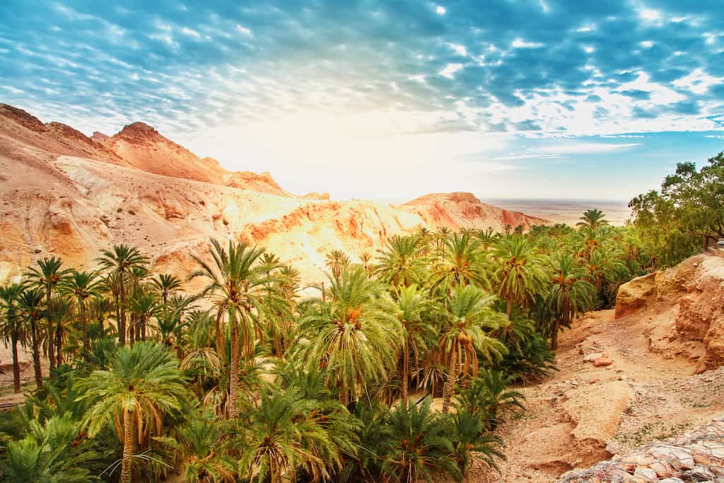 السياحة في تونس - أفضل الاماكن للزيارة في مارس 2022
