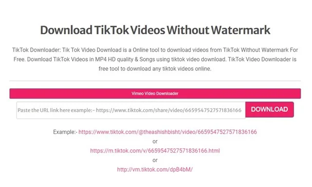 شرح تنزيل مقاطع فيديو TikTok بدون علامة مائية (أفضل 3 طرق)