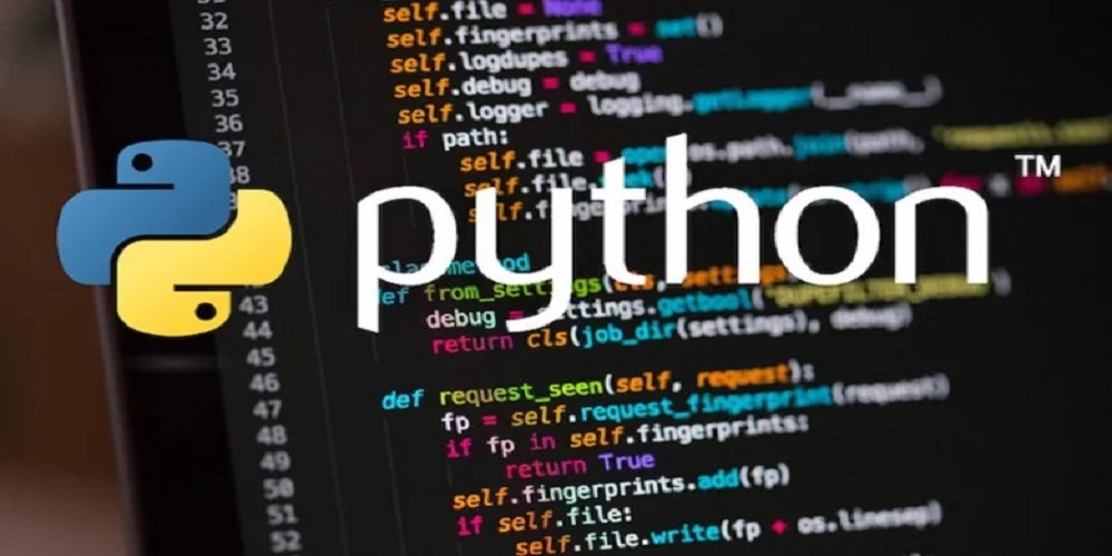 أهم لغات البرمجة الأكثر انتشارًا في عام 2022