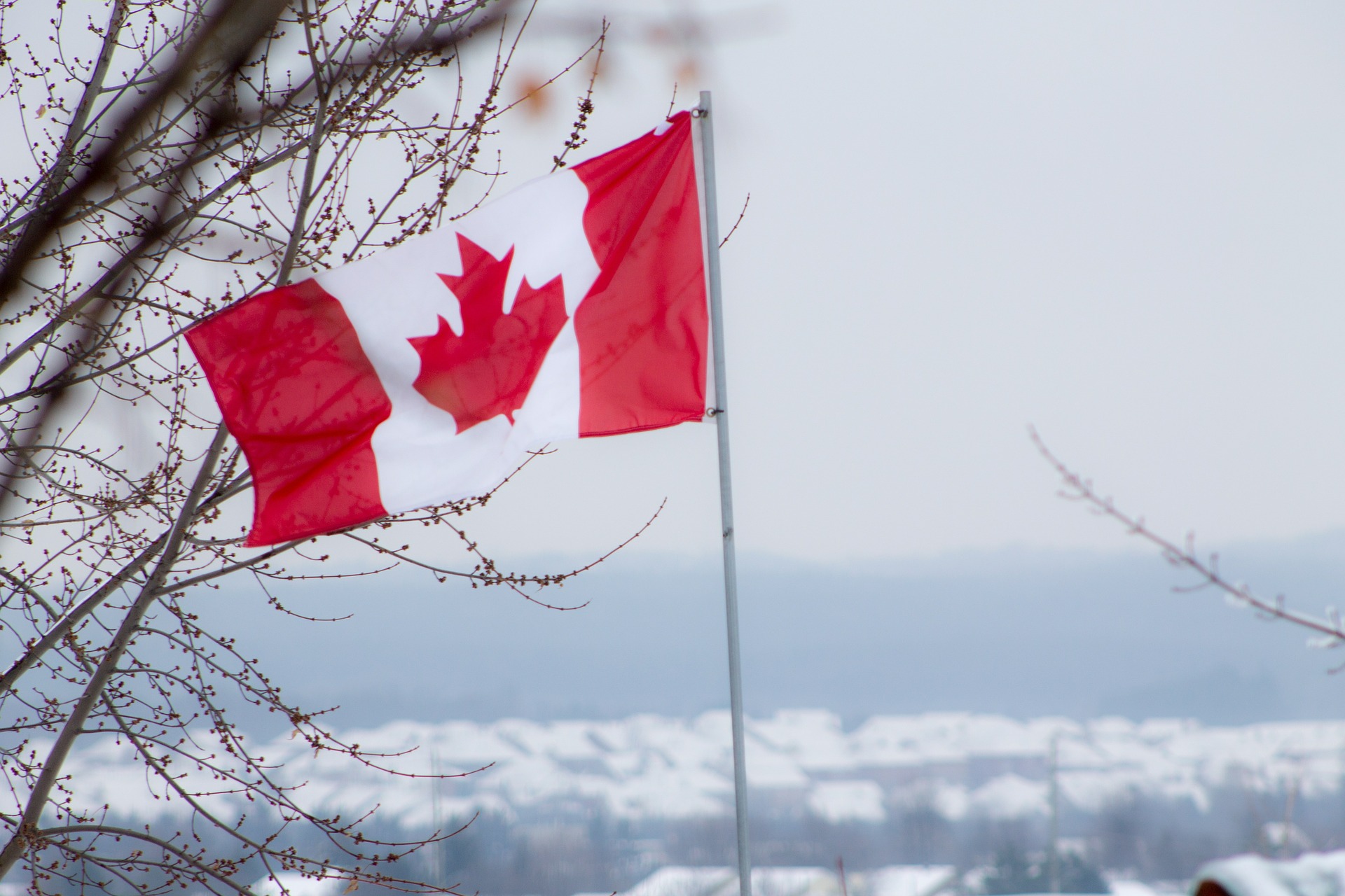 خطوات وشروط تقديم طلب هجرة إلى كندا اون لاين