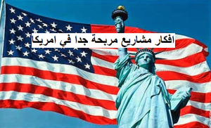 مشاريع مربحة في أمريكا